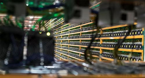 Modern Mining Farm
