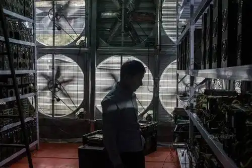 An overview of a modern mining farm showcasing hosted rigs and operational efficiency