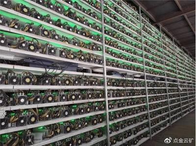 A bustling mining farm hosting various machines, illustrating the benefits of professional cryptocurrency mining setups