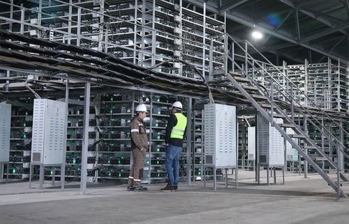 A bustling mining farm hosting numerous rigs, illustrating the operational scale and security benefits