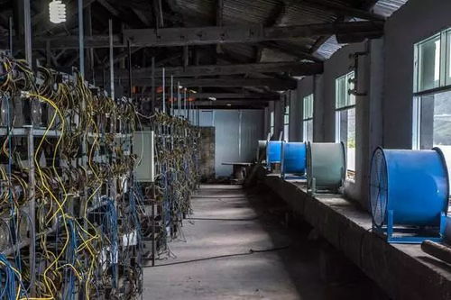 Immersion cooled mining farm clusters with Antminer S21 rigs