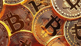 An intricate view of a mining rig in a hosted facility, showcasing its efficient and scalable design for cryptocurrency extraction